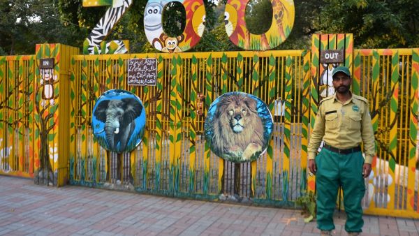 In this picture taken on January 6, 2021, a wildlife ranger stands in front of the entrance to the closed Marghazar Zoo, located in the Margalla Hill National Park in Islamabad. A rundown Pakistan zoo once home to what was dubbed the "world's loneliest elephant" and notorious for housing animals in cramped concrete enclosures has launched an ambitious 7.5 million USD makeover plan. Farooq NAEEM / AFP