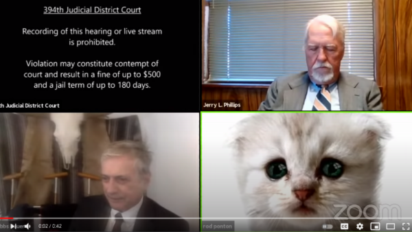 The Lawyer Who Turned Into a Cat During Court Hearing Makes Headlines