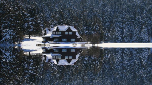 Winter Time Golcuk National Park Bolu Turkey (Shutterstock)
