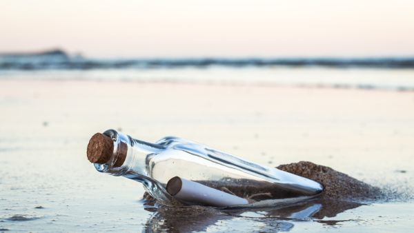 (Shutterstock/ File Photo)