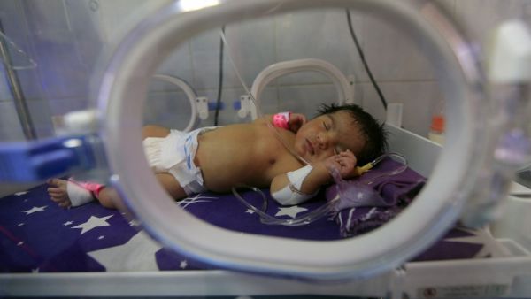 The Yemeni Liberation Movement to start hunger strike