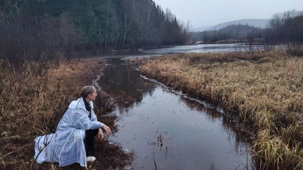 Berklee College awards Celine Dion and 3 others a honorary Doctor of Music degrees.