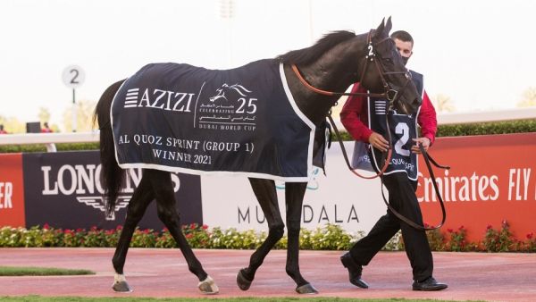 Azizi Developments Sponsors Al Quoz Sprint at 25th Dubai World Cup 