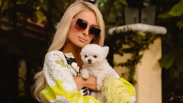 he Hilton heiress admitted she was planning an "intimate" wedding to Carter.