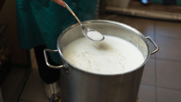 Syrian national Abeer Abbas created her own dairy products business