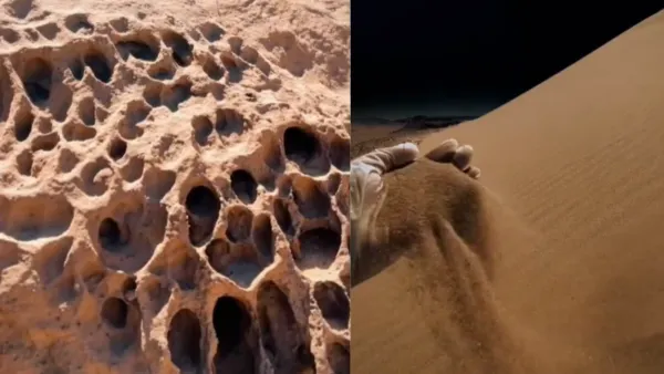 Snaps from TikTok