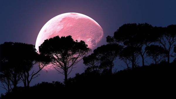 Pink Supermoon