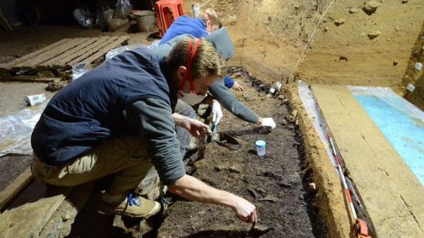 Bulgarian cave remains reveal surprises about earliest Homo sapiens in Europe