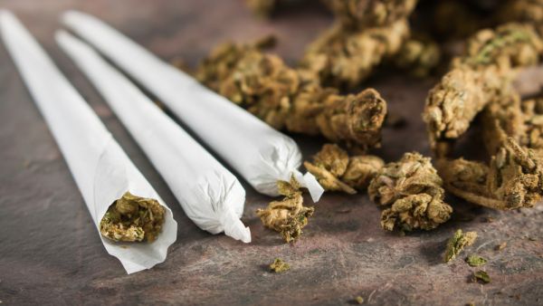 Cuomo signed a bill that legalizes marijuana