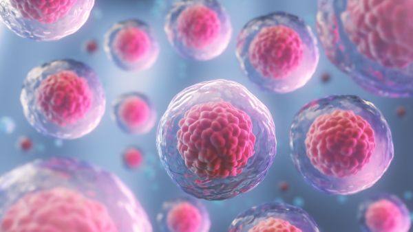  Human cell or Embryonic stem cell microscope background