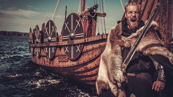 Viking warrior 