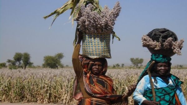 وستدخل الوثيقة حيز التنفيذ رسميا يوم الغد 20 مايو/أيار بعد نشرها في السجل الفيدرالي.