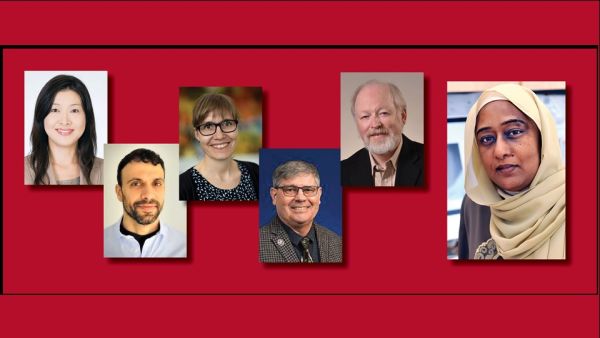 WCM-Q Provides A Virtual Mixed Methods Research Workshop