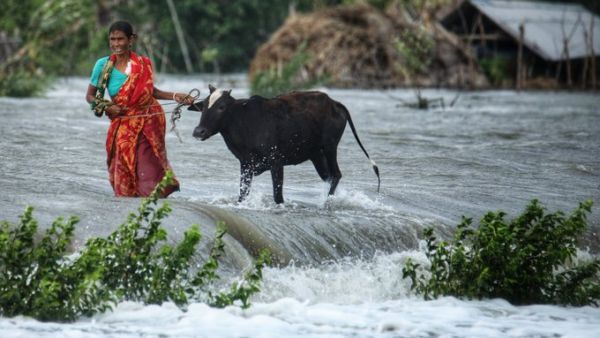 Bangladesh Cyclone Yaas 