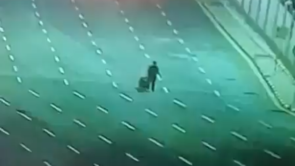 فتى الجسر