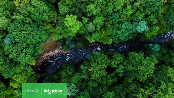 Schneider Electric Details Pledge To Fight Global Biodiversity Loss