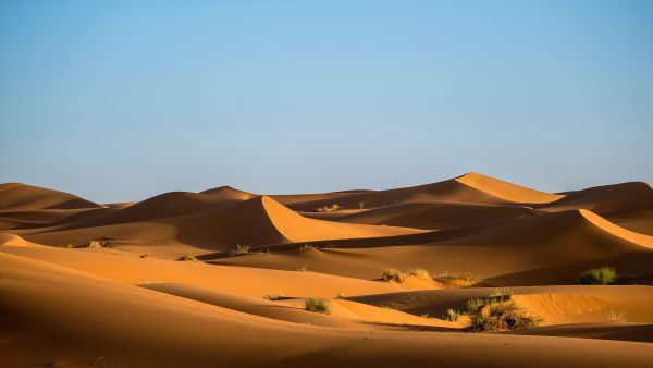 Desert