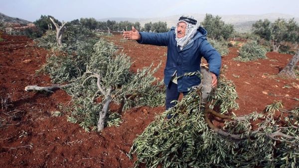 الضفة الغربية