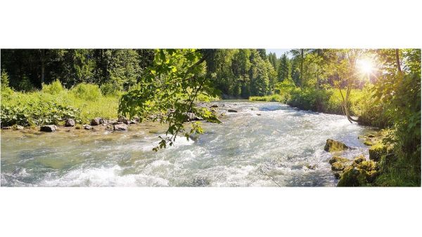 Nestlé Waters Targets Positive Water Impact By Regenerating Local Water Cycles
