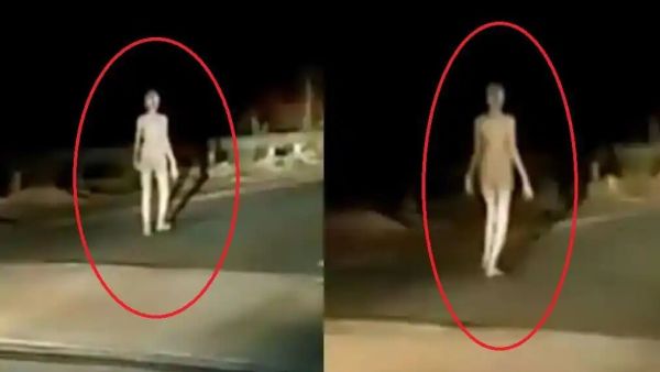 مخلوق فضائي يسير في شوارع الهند