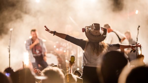 Music festival crowd excitement