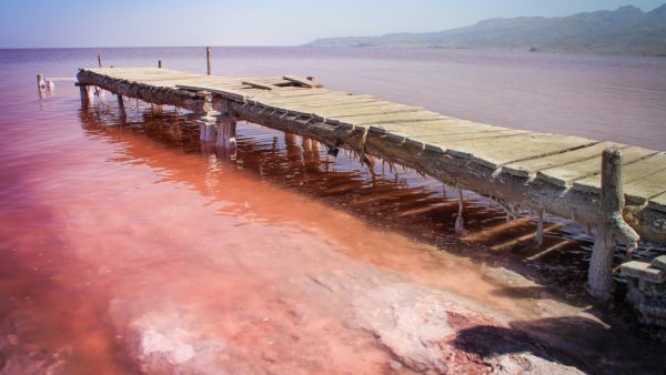 The unusual pink Lake Urmia