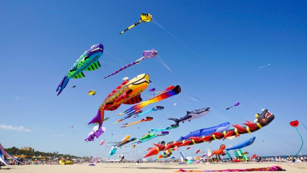 Various kites flying on the blue sky