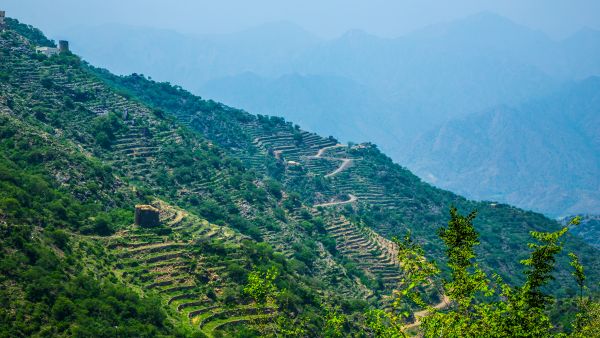 Abha Jazan Mountain 