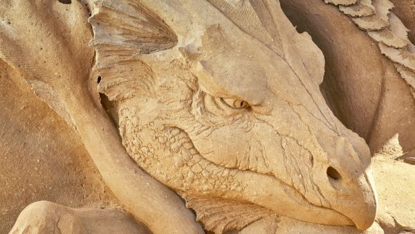sculpture in the sand 