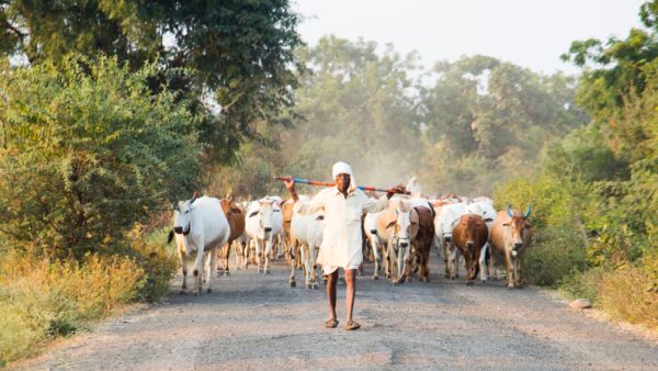 unidentified Indian farmer 