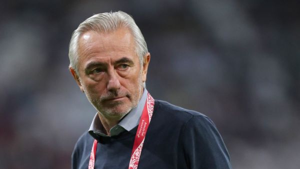 Bert van Marwijk (Photo: AFP)