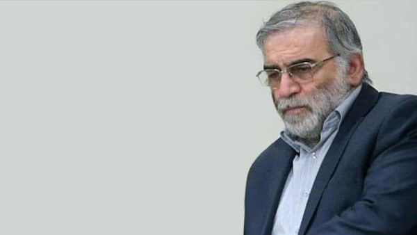 محسن مهر علي زادة