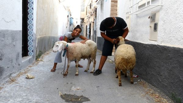 تخصيص الأموال المخصصة لشراء الأضحية من قبل كل عائلة لتوفير العنصر البشري للمستشفيات