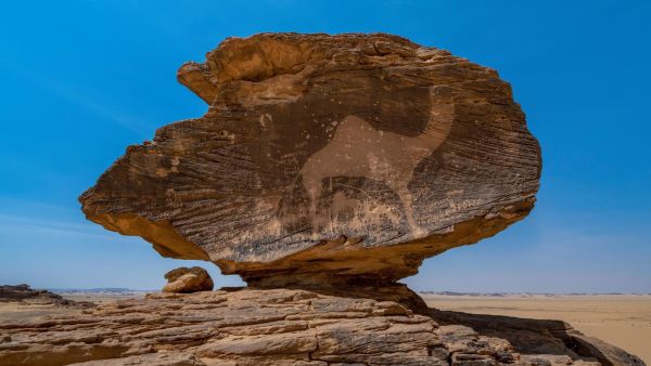 Cultural rock arts in Hima Najran 