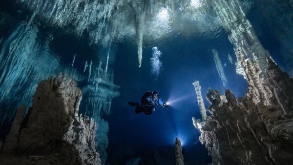Ocean Art Underwater Photo Competition 