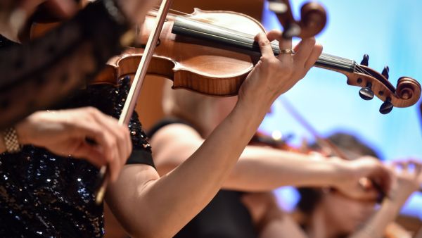 Violin players hand detail during philharmonic orchestra performance