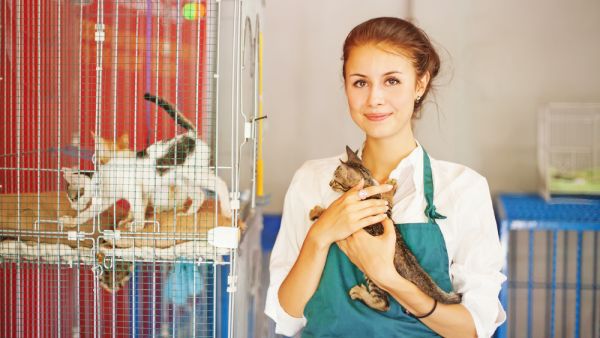 animal rights bill approved