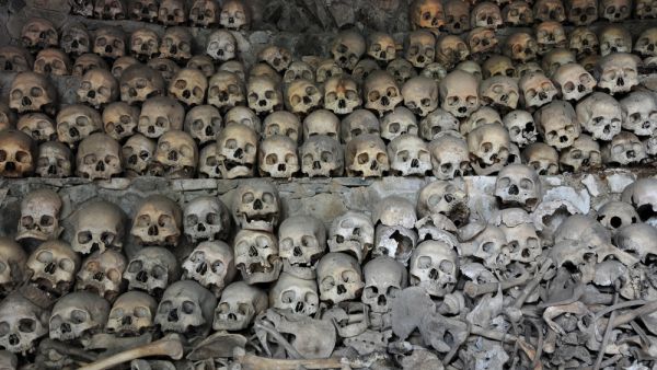 Archaeologists find a cave of bones in Saudi Arabia