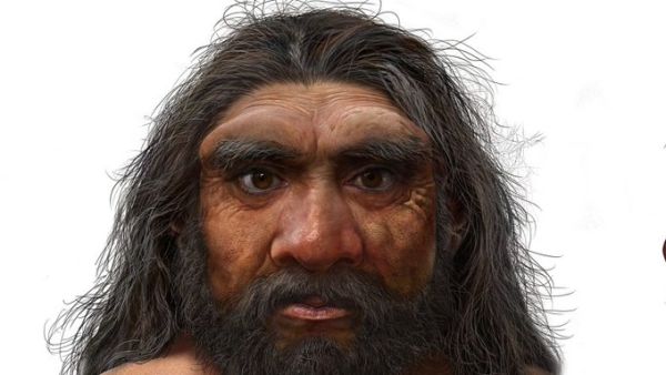 Homo longi 