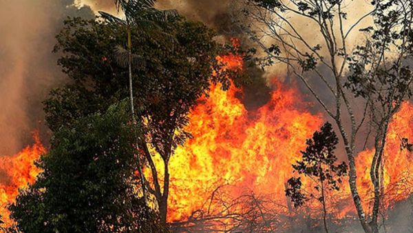 155 حريقا في تونس