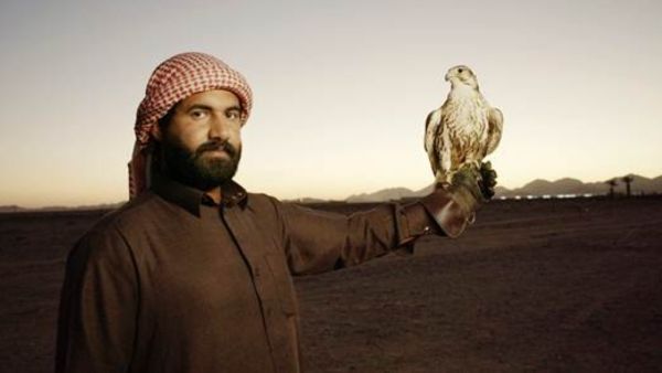 "حلفاء الطبيعة".. وثائقي عن الصقارين بالمملكة العربية السعودية