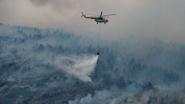 Firefighting plane crash kills 8 people
