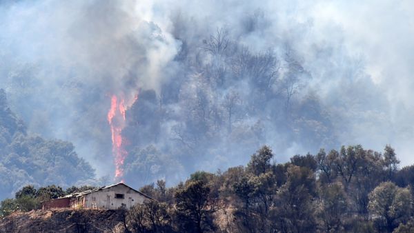 Forest fires killed at least 65 people killed, including 28 soldiers.