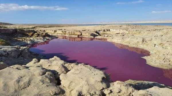What color is the Dead Sea 