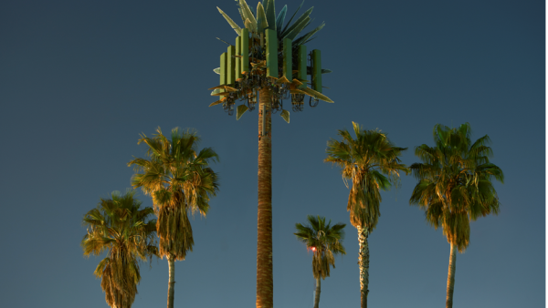 The Annual Photography Exhibition Features Works Selected From An Open Call That Received More Than 500 Submissions 