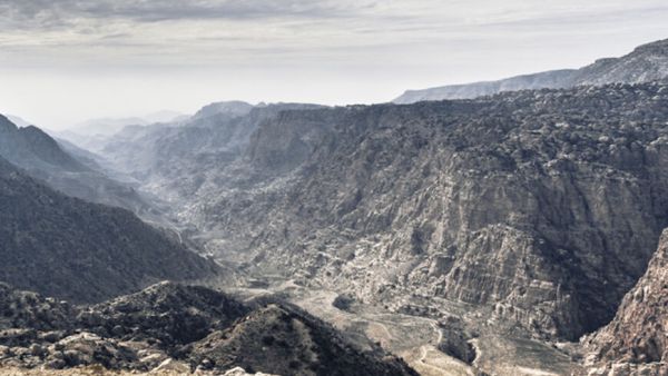 Dana nature reserve 