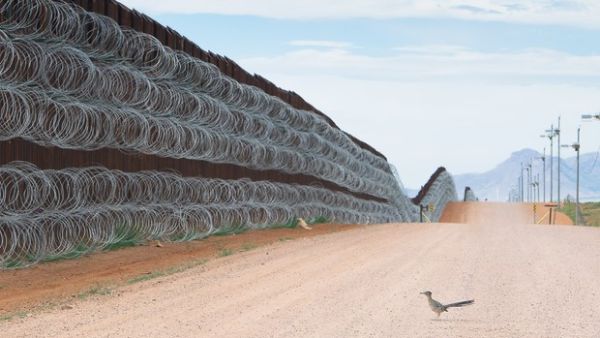 the BIRD PHOTOGRAPHER OF THE YEAR Alejandro Prieto, Mexico, (@alejandroprietophoto) with his image 'BLOCKED.'⁠