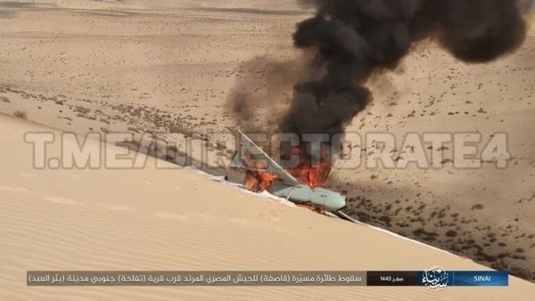 سيناء