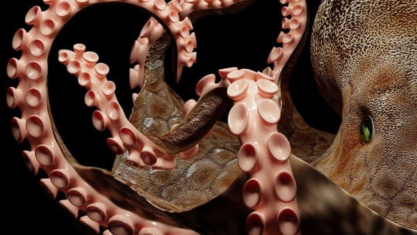 Self- portrait, I often see myself functioning like an octopus, wishing I had its superpowers 