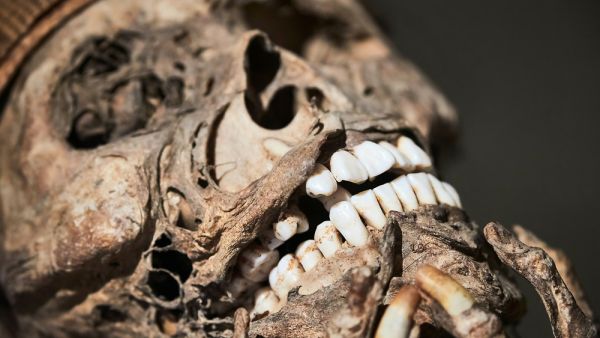 Mummified skeletons found in Iznik city